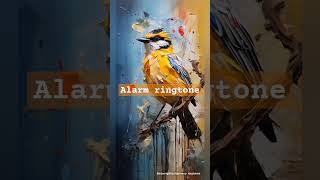 Adelaides Warbler Setophaga Adelaidae Sound With Alarm Ringtone