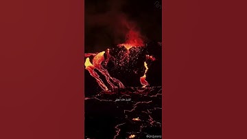 اسْتَحْوَذَ عَلَيْهِمُ الشَّيْطَانُ فَأَنسَاهُمْ ذِكْرَ اللَّهِ ۚ #قرأن #قران_كريم #قارئ #قرآن