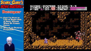 Ninja Gaiden Basaquer Boss (Boss Beaters)