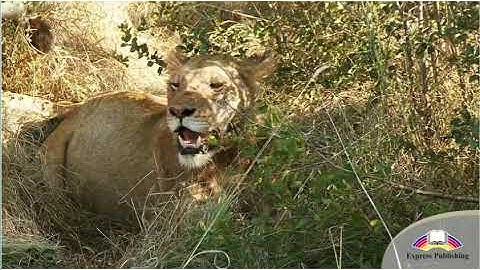 Excel 8 Module 1. Nature