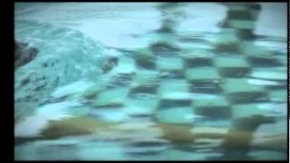 Macho Bus Con Jose Meolans Parte 2 - Sabado Bus 2011