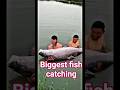 🎣Big fish catch shock #shorts #fishing @AdiFishman @MrBeast2
