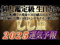 個人鑑定級【獅子座♌️】みんなの生まれ日占うよ!2025年運気予報 ※腰抜かすかと思った(私が)、超弩級のリーディング 【タロット占い、オラクル占い】
