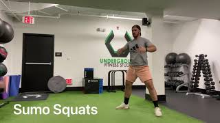 Kicker Mobility and Stability Daily Routine