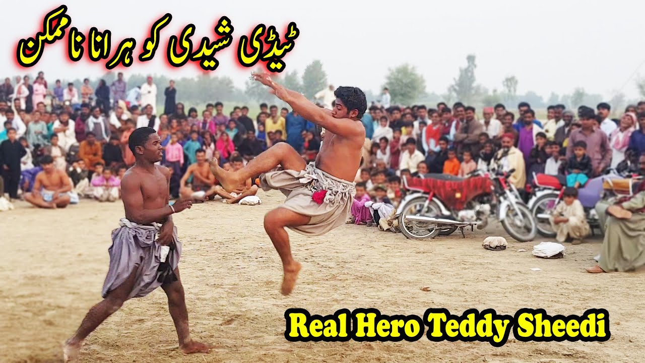Teddy Sheedi Wanted Fighting Game | Teddy Sheedi New Malakhra