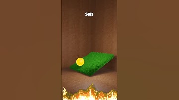 Ball Rolling Blender 3D Animation  | #animation #blendersimulation #trending