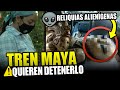 👽 No vas a creer lo que dicen que encontraron en la ruta del Tren Maya | Noticias del Tren Maya