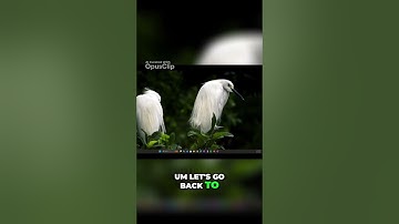 Master SQL Queries  Filter Sales Order Data Efficiently