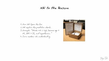 4. Example | XAI in End User to Stroke Prediction