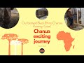 Part 5  our beloved black rhino chanua flaminggoes chanua exciting journey