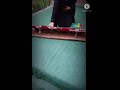جلسة للجلسات ولوازم الرحلات
