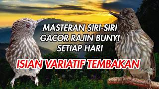 SIRI-SIRI GACOR ISIAN VARIATIF COCOK BUAT MASTERAN SIRI-SIRI GACOR RAJIN BUNYI SETIAP HARI❗❗ screenshot 1