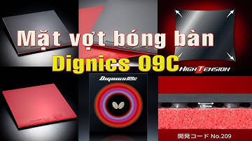 Dignics 09C│Mặt Vợt Bóng Bàn Butterfly Cao Cấp Của Nhật Bản│Sport Ngọc Hoài