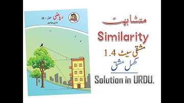 متشابہت Similarity |Exercise 1.4 | Class 10th Full Exercise + Explanation in URDU.