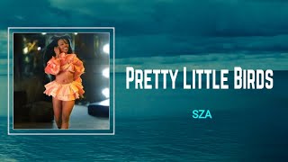 SZA - Pretty Little Birds (Lyrics) 🎵