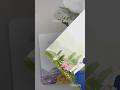 Serenity Lakes #invitation