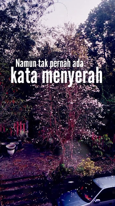 Story WA || Mengapa - Rony Parulian #shorts  #yearofyou