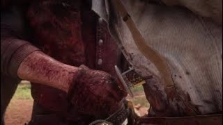 Arthur Kills Anthony Foreman Red Dead Redemption 2