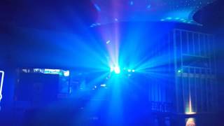 BLiZZ Light Tree B 1 - Frankie T's Dive Bar