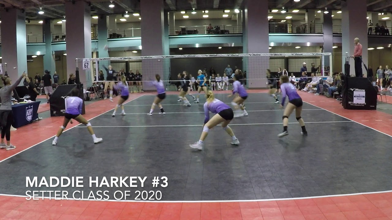 sports scholarships in australia for international students Maddie Harkey #3 Setter Class of 2020