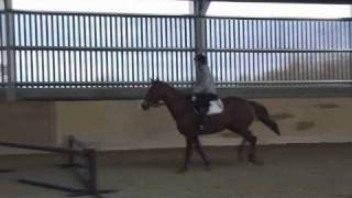 Boo vs the Corner Fence