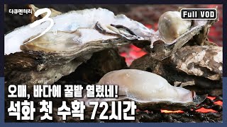 [다큐3일★풀버전] 바다에서 피는 검은 꽃! 1년 동안 바다가 품어준 자연산 '석화' 바다가 주는 보물을 캐내기 위한 남포마을 72시간~ (KBS 20191213 방송)