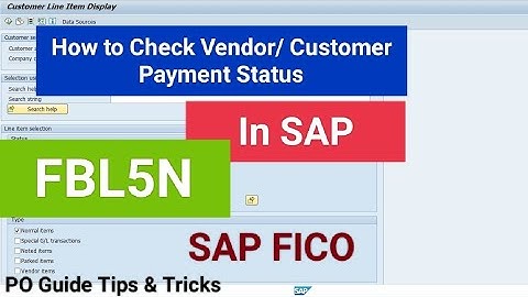 Check Vendor/Customer Payment Status in SAP || SAP FICO || FBL5N #sapfico #sap #indiapost