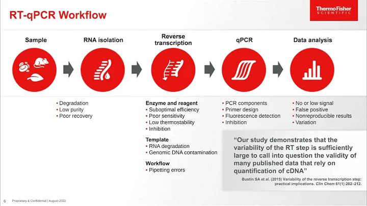 Breaking through RT-qPCR boundaries in gene expres...