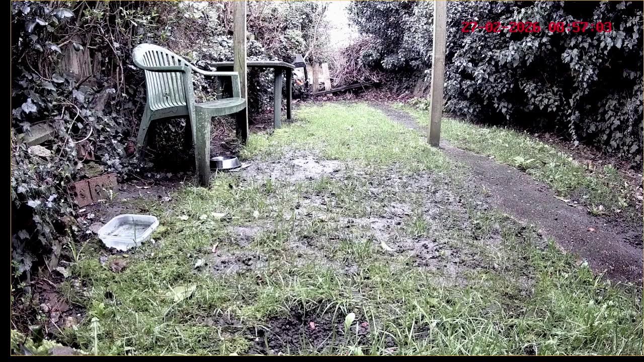 Graham's Nature Watch Channel Live Stream