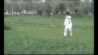 八卦直趟六十四掌  4 VCD.flv screenshot 4