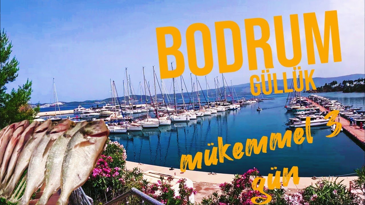 BODRUM GÜLLÜK 3 GÜN TEKNE AVI ^#fishing #keşfet #seafood #art #food #seafood @Mosse Balık Avı ve Kamp - Osman ÇELEN  @umut semi