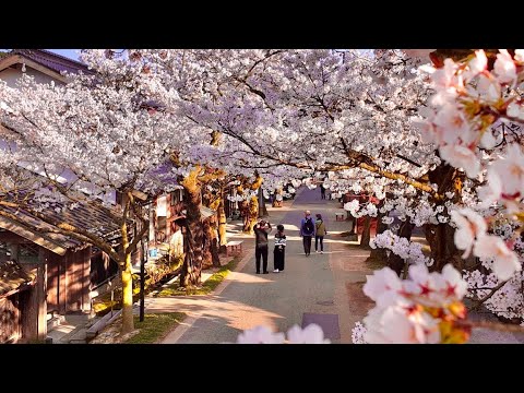 岡山県の日本で最も美しい村 YouTube