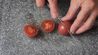 Another Newly Named Tomato Variety: Johnny's Song