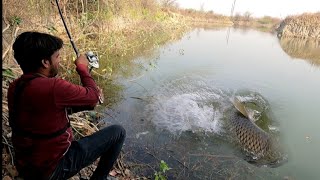 मछली कैसे पकडें || Carp Rohu Fish Hunting || Amazing fishing Video || Hook Bite Fishing