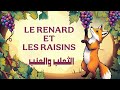      قصة الثعلب والعنب 
