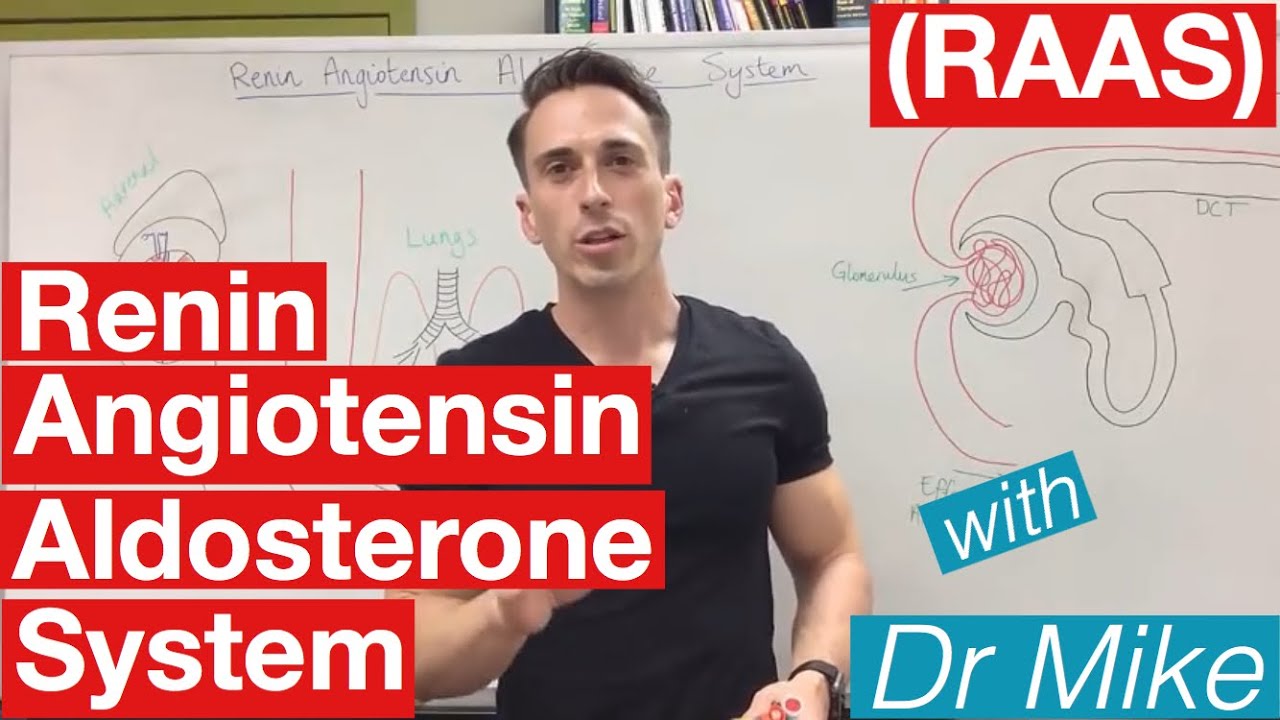 Renin Angiotensin Aldosterone system