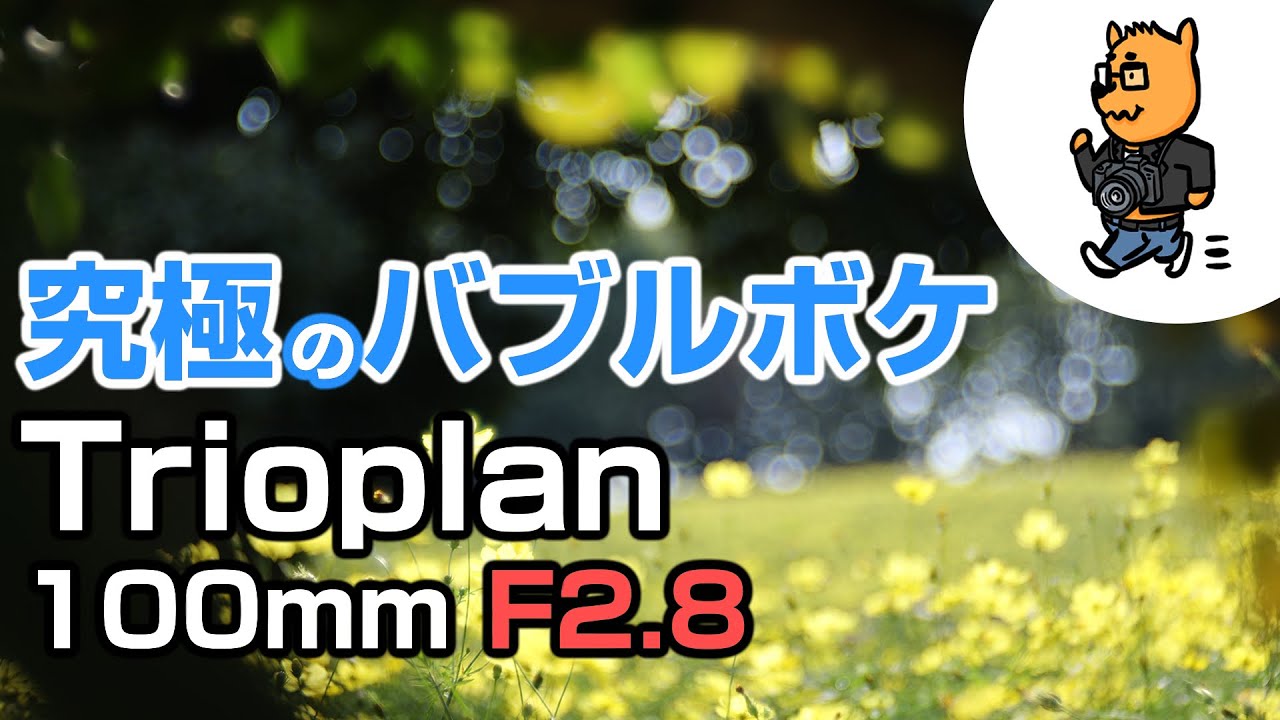 トリオプラン100mmF2.8で昭和記念公園を激写！究極のバブルボケレンズでキバナコスモスをバブリシャス！