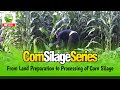 Joni and Susan Agroshop | Corn Silage