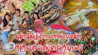 ရန်ကုန်မြို့ပြင် ပဲခူးလမ်းမကြီးပေါ်က တောဓလေ့ဆန်တဲ့ ကိုကြီးပျော် ပျော်ပွဲစားခြံကို သွားမယ်🥰