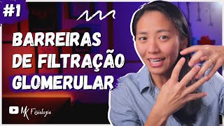 [#1] FILTRAÇÃO GLOMERULAR: MEMBRANA DE FILTRAÇÃO | BARREIRAS DE FILTRAÇÃO GLOMERULAR | MK Fisiologia