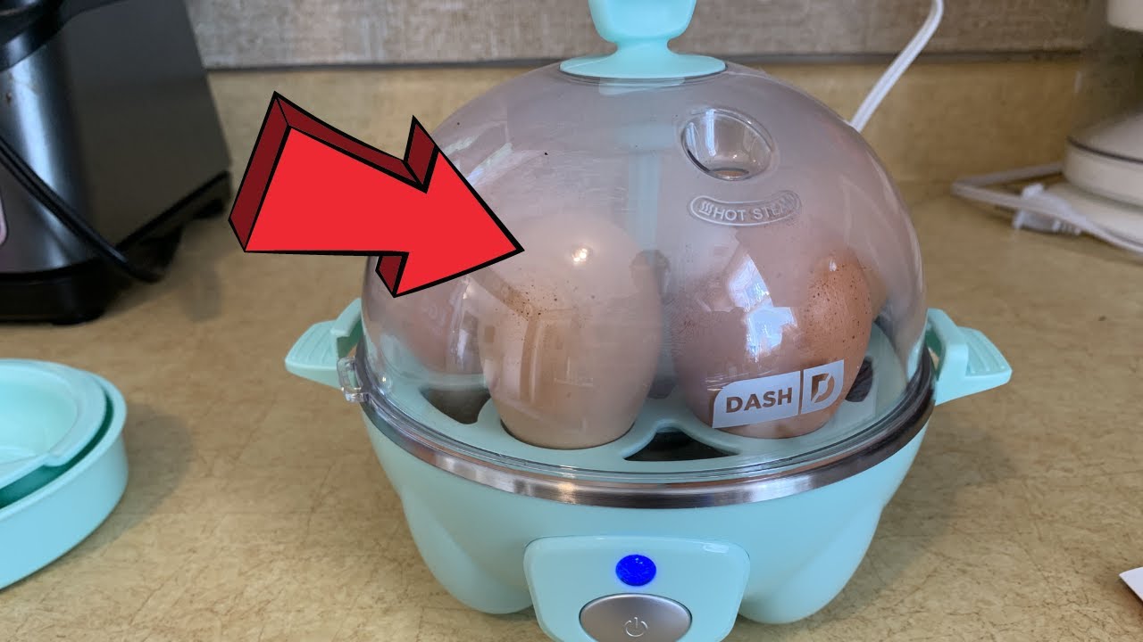 Dash Rapid 6 Egg Cooker - Aqua