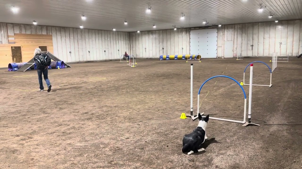 Bonus Kas Cheetah Chances 1