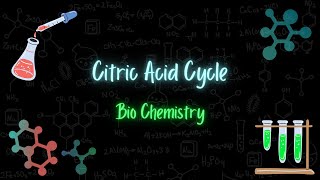 Citric Acid Cycle/Krebs Cycle - حلقة كريبس - BIOCHEMISTRY - تعلم بالعربي