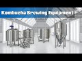 Commercial kombucha brewing equipment  hulk brewtech