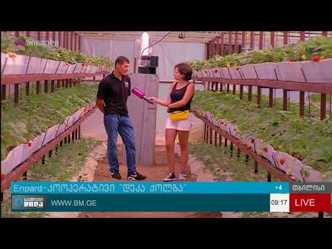 ENPARD-ის კოოპერატივი “დეკა ქოლგა”