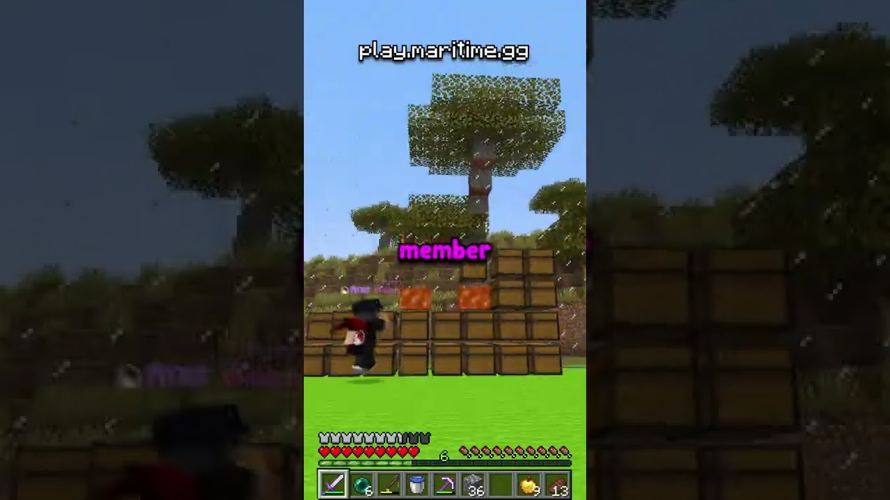 I Caught a Staff GRIEFING my Minecraft Server!