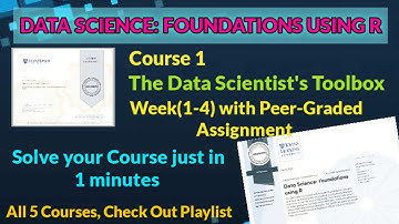 The Data Scientist