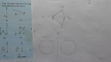 REFLECTION EXERCISE 10 A CHAPTER 10 CLASS 10 ICSE