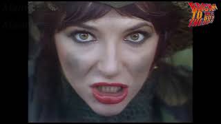 Kate Bush - Army Dreamers (+текст и перевод)