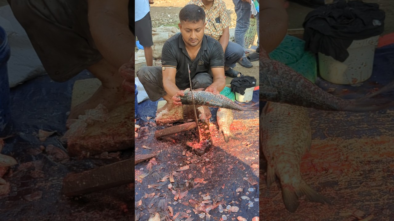 Amazing Big Rui Fish Cutting Skills